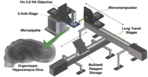 Figure  2.2:  All  of  the  automation  and  experiments  detailed  in  this thesis  were  built upon  the  basic  layout  shown  above,  first  detailed  here[81]