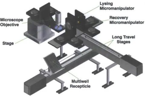 Figure  2.4:  Version  1  of the  dual-micropipette  system:  Initial  efforts  at using  two sep- sep-arate  micropipettes  involved  mounting  a  second  independent  micromanipulator  onto the  same  long-travel  stage  that  was  already  present  in  