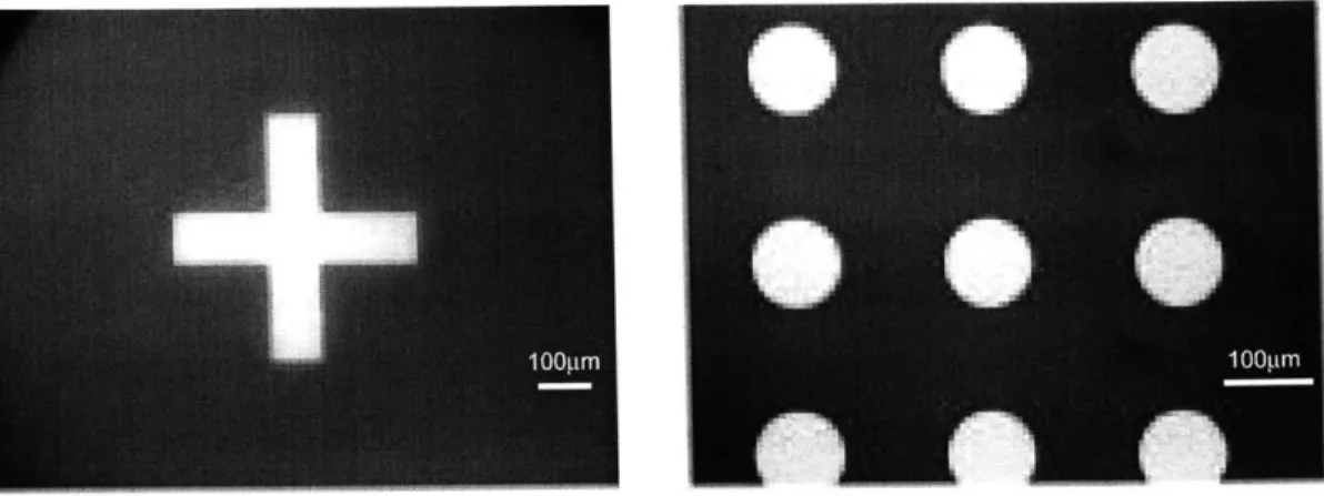 Figure  1-17:  Microcontact  printed  patterns,  silver  on silicon