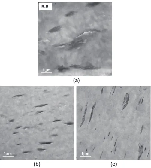 Fig. 3. TEM images of polyethylene/clay composites prepared without coupling agent: (a) PNC5(HDPE); (b) PNC5(LDPE); (c) PNC5(LLDPE-8).