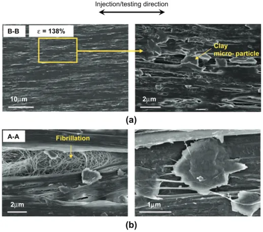 Fig. 8. SEM micrographs of PNC5(HDPE) drawn at 50 mm/min: (a) void formation by debonding at the polymer/clay interface in the bulk material; (b) fibrillation and debonding at the polymer/clay interface on the external surface of the tensile test specimen.