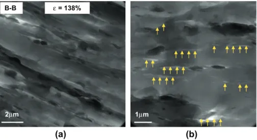 Fig. 9. TEM images of PNC5(HDPE) drawn at 50 mm/min: (a) overview and (b) high magnification (on this specific picture, micro-cracks are highlighted by arrows).