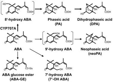 Figure 1. Okamoto et al.,  