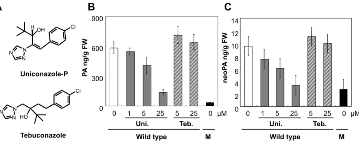 Figure 3. Okamoto et al.,  