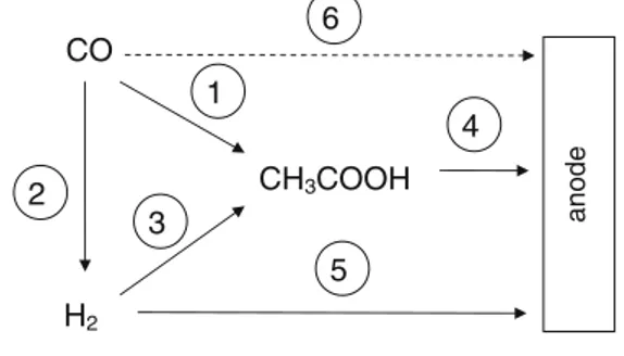 Fig. 1 Pathways of electricity production from syngas observed in a CO- CO-fed MFC (based on Mehta et al