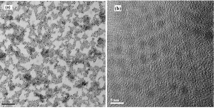 Figure S3. (a) TEM and (b)  HRTEM images of PbS nanocrystals cross-linked with 1,3-benzenedithiol