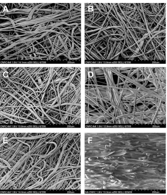 FIGURE 1. SEM images of the different nonwoven PET ﬁber scaffolds (A, B, C, D, and E) investigated