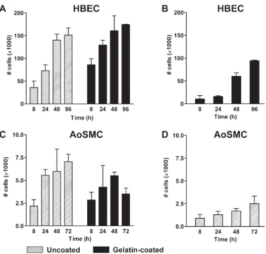 FIGURE 4. Proliferation rates of HBEC (A) and AoSMC (C) grown on either uncoated (hatched bar) or gelatin-coated (black bar) nonwoven PET ﬁber scaffolds of structure E or on gelatin-coated (HBEC, (B) and uncoated (AoSMC, D) PFCP wells