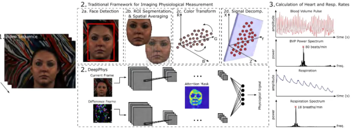 Figure 2-17: We present DeepPhys a novel approach to video-based physiological measurement using convolutional attention networks that significantly outperforms the state-of-the-art and allows spatial-temporal visualization of physiological  infor-mation i