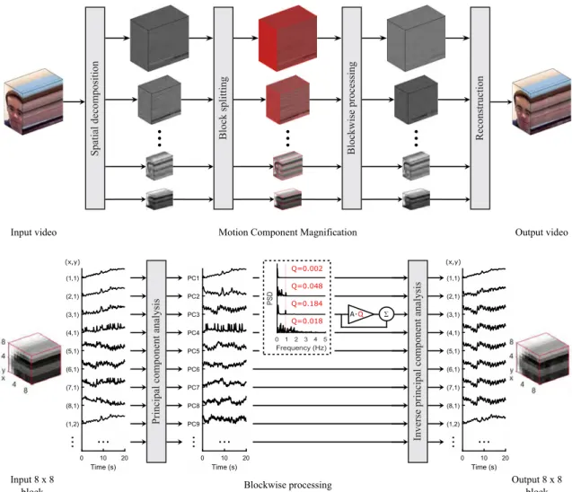 Figure 3-2: Flow charts of motion component magnification. The red patch in the power spectral density (PSD) figures indicates the frequency band of interest: 0.8258 Hz - 0.9133 Hz