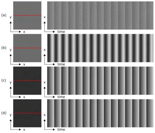 Figure 3-3: The first frames of videos with red scan lines plotted over time: (a) the input video with sawtooth color changes, 