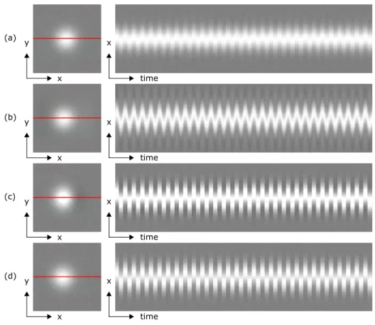 Figure 3-5: The first frames of videos with red scan lines plotted over time: (a) the input video with subtle motions in a square wave, 