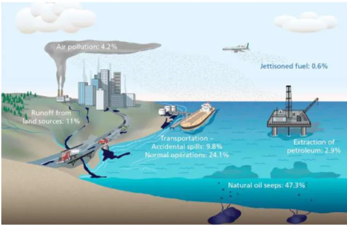 Fig. 2. Sources of oil in the ocean. Image credit: Jack Cook, Woods Hole Oceanographic Institution (2011).
