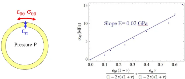 Figure 6. Schematic representation of an inflating balloon (left) and linear relationship between the Hoop stress  σ θθ   and  a combination of the strain values  ε θθ  and  ε rr  to provide the Young’s modulus E (right)