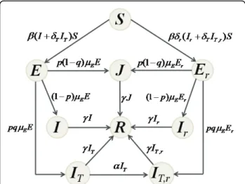Figure 1 The model. Model diagram for the movements of individuals between population compartments.