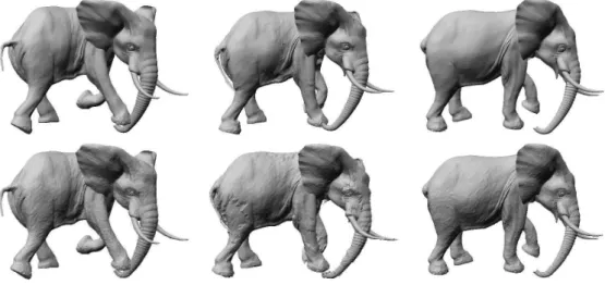 Figure 7 shows a number of morphs. Note that the intermediate poses are visually pleasing and that most details are preserved during the morph.