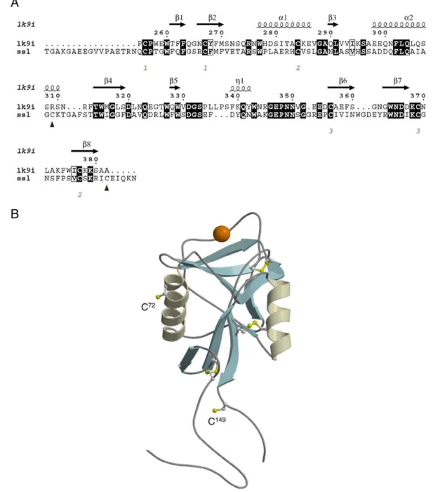 Fig. 1. Homology model of wild-type SSL model. (A) The alignment of SSL with 1k9i is shown with identical residues in black boxes and similar residues in white boxes