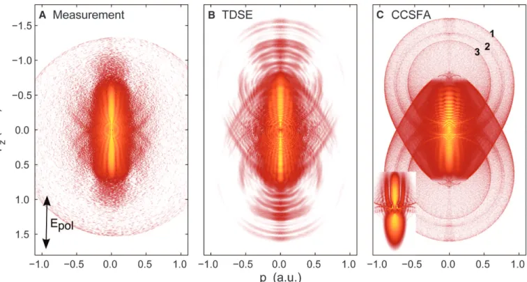 Fig. 3. Comparison of an experimental two-dimensional photo-electron velocity map image with calculations (CCSFA and TDSE)