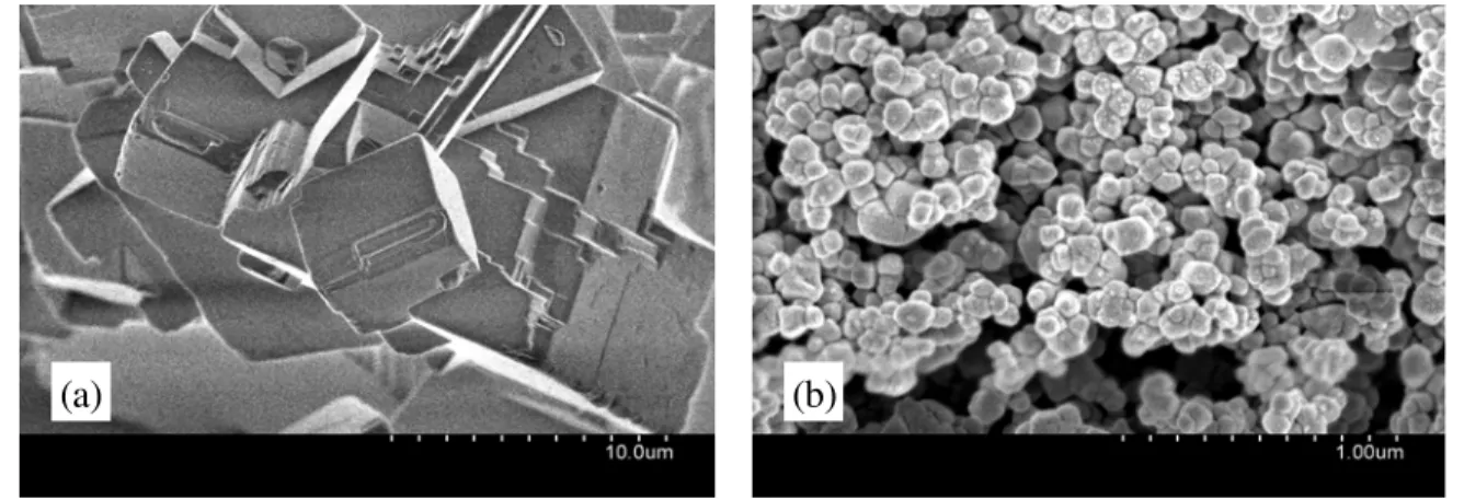 Fig. 2: Conduction calorimetry results for OPC Control and OPC with the additions of  micro- and nano-CaCO 3  for w/b of 0.50 