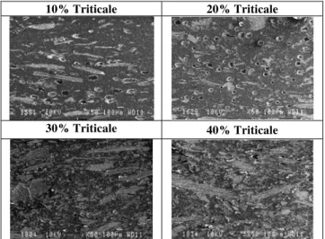 Figure 2. SEM micrographs of longitudinal polished  surfaces of composites obtained with 10, 20, 30 and 40% 