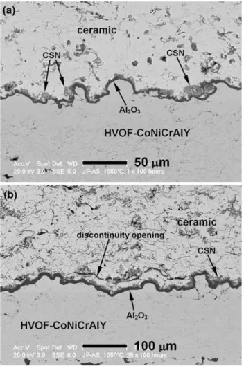 Fig. 2 As-sprayed APS-CoNiCrAlY shows (a) a TGO layer of chromia + spinel with CSNs after 100 h, (b) discontinuity  open-ing after 300 h, and (c) crack propagation and coalescence associated with the TGO after 600 h