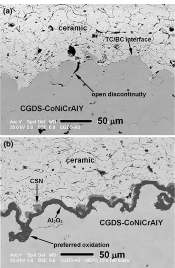 Fig. 4 As-sprayed CGDS-CoNiCrAlY shows (a) a TGO layer of predominantly alumina with ASN and CSN clusters between the ceramic topcoat and alumina layer after 100 h, (b) the increased thickness of the TGO and a discontinuity in the ceramic/