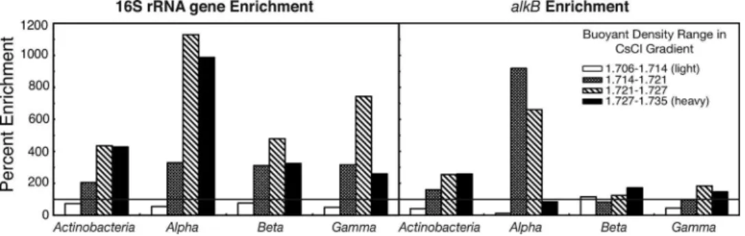 FIG. 4. Percent enrichment of the bacterial families that made up at least 1% of the community in the 15 N-amended contaminated soil compared to the 14 N-amended control