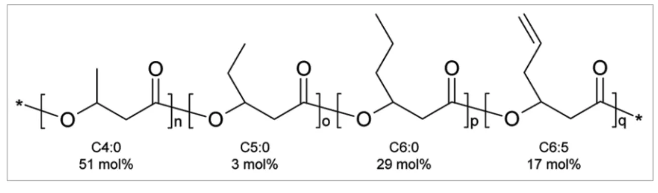 Figure 2. Poly(3-hydroxybutyrate-co-3-hydroxyvalerate-co-3-hydroxyhexanoate-co-3-hydroxyhex-5-enoate) after co-feeding of methanol and  5-hexenoic acid to M