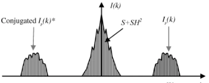 Fig. 1. SSOCT signal.