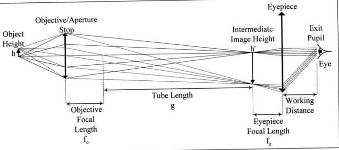 Figure 3.4:  Simple  compound  microscope