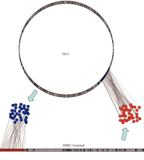 Figure 4: Extracellular signaling (communication) between Th17 and BEC. Shown is a visual depiction of the intercellular interaction network between proteins secreted by either Th17 lymphocytes or BEC and their interacting membrane counterparts expressed o