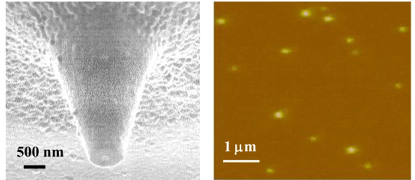 Fig. 4. A scanning electron microscopy image of an aluminum-coated probe with an  aperture (~ 90 nm in diameter) produced by focused ion beam milling (left)