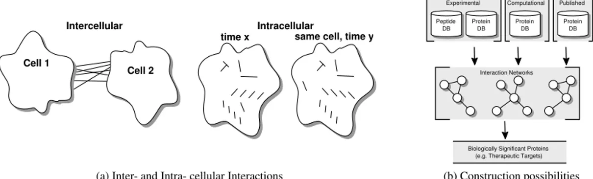 FIGURE 1. Protein-protein interactions in terms of intercellular or intracellular interactions may be inferred based on: (i) experimental data, (ii) computational prediction data, or (iii) published data