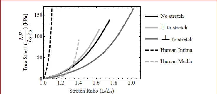Fig. 5: Tensile test results for the FTC-stretch-FTC trial. Extension is performed in both the parallel  and perpendicular directions to the stretch axis The results are ploted with a normal 10% PVA – 2 