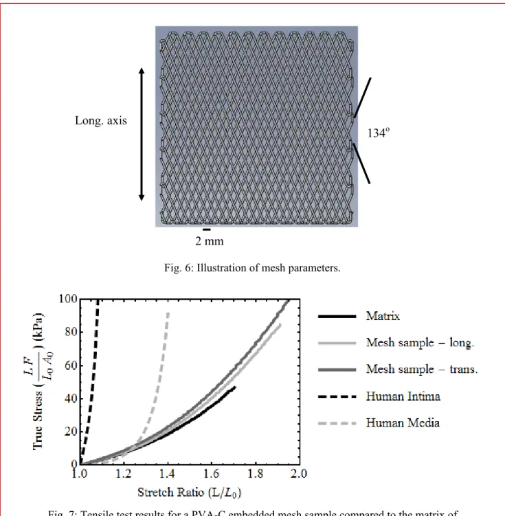 Fig. 6: Illustration of mesh parameters.  