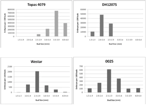Fig. 2 Embryogenic frequency of different bud size ranges in four B. napus genotypes. Embryos counted 21 days 