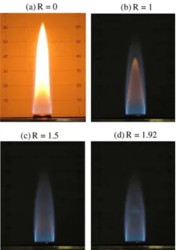 Fig. 2. The visible ﬂame appearance of the double CH 4