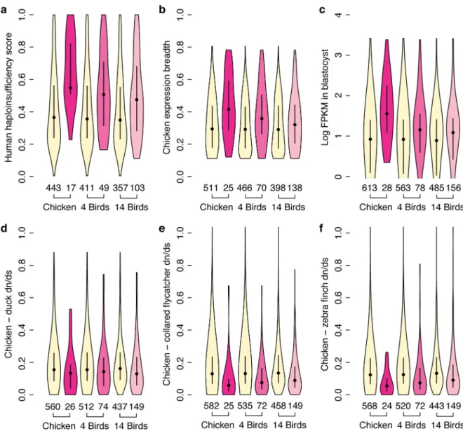 Figure 4. Factors in the survival of Z-W gene pairs