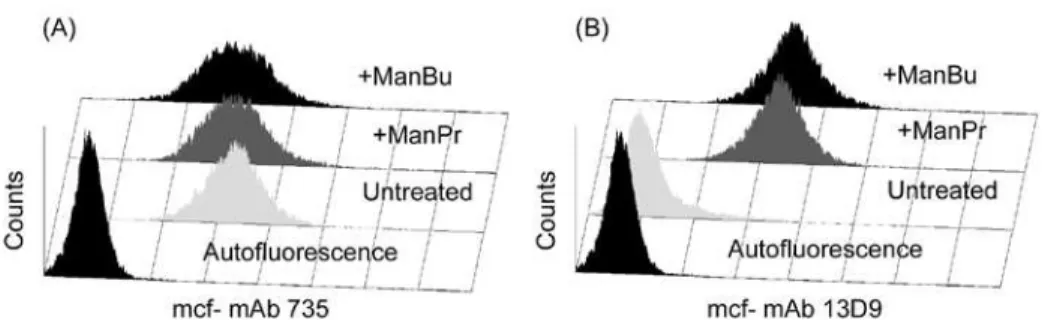 Figure 1.  Effects of ManPr and ManBu on PSA expression in RMA-s tumor cells.  RMA-s cells in log phase  growth were treated with 10 mM ManPr (+ManPr), ManBu (+ManBu), or medium alone (untreated) for 3 days  followed by surface staining with mAbs 735 (A) a