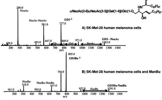 Figure  2.  CE-MS analysis of native and modified GD3 from ManBu treated SK-MEL-28 melanoma cells