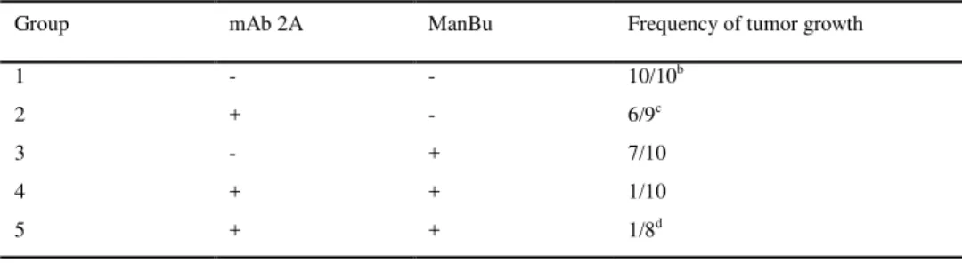 Table 2. Effect of mAb 2A and/ or ManBu on SK-MEL-28 tumor grafting a .  SK-MEL-28 cells (1.0 x 10 7 ) were  transplanted subcutaneously into Balb/c nu/nu  mice and subsequently treated 3d later with daily injections  (2  weeks)  of  mAb 2A  (200  ug/ mous