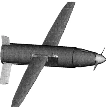 Figure  3-1:  Deployed  WASP  flyer