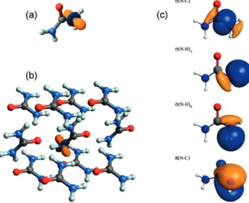 Figure 13. Results from DFT calculations of monomers and finite clusters of urea. Calculated EFG tensors for (a) the monomer and (b) the 11-mer of urea.