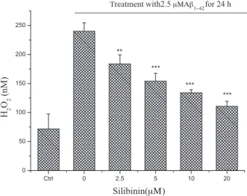 Fig. 5. Silibinin decreases the concentration of H 2 O 2 in A b -treated SH-SY5Y cells.