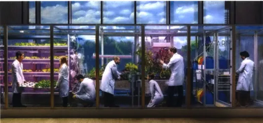Figure 8:  CityFarm hydroponic/aeroponic  research  lab.  Image  Source:  Wired UK