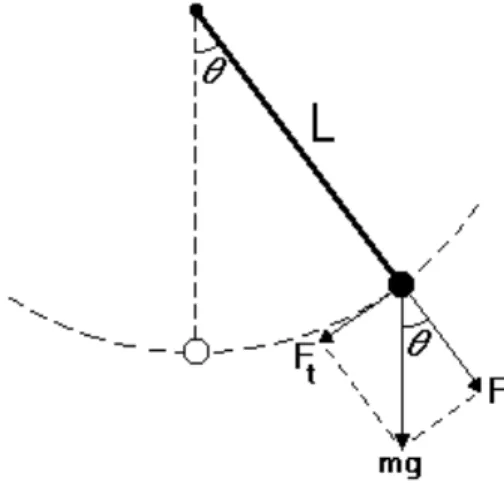 Figure 3: Simple pendulum