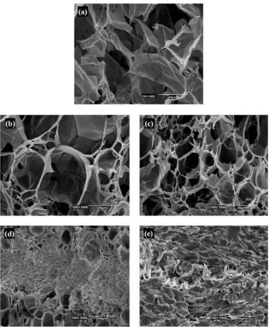 Figure 12. SEM micrographs of CO 2 -foamed samples: (a) PLLA1; (b) PLLA2; (c) PLLA3; (d) PLLA4; (e) PLLA5