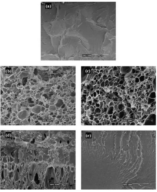 Figure 10. SEM micrographs of CO 2 -foamed samples: (a) PLLA1; (b) PLLA2; (c) PLLA3; (d) PLLA4; (e) PLLA5