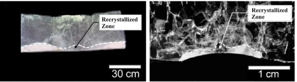 Fig. 2. Ice sections taken perpendicular to ice-structure interface for medium-scale ﬁeld indentation tests (left) and small-scale laboratory tests (right); see Barrette et al., 2003