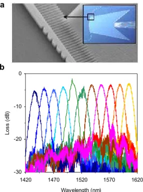 Fig. 4  Waveguide grating spectrometer with subwavelength grating interface. 